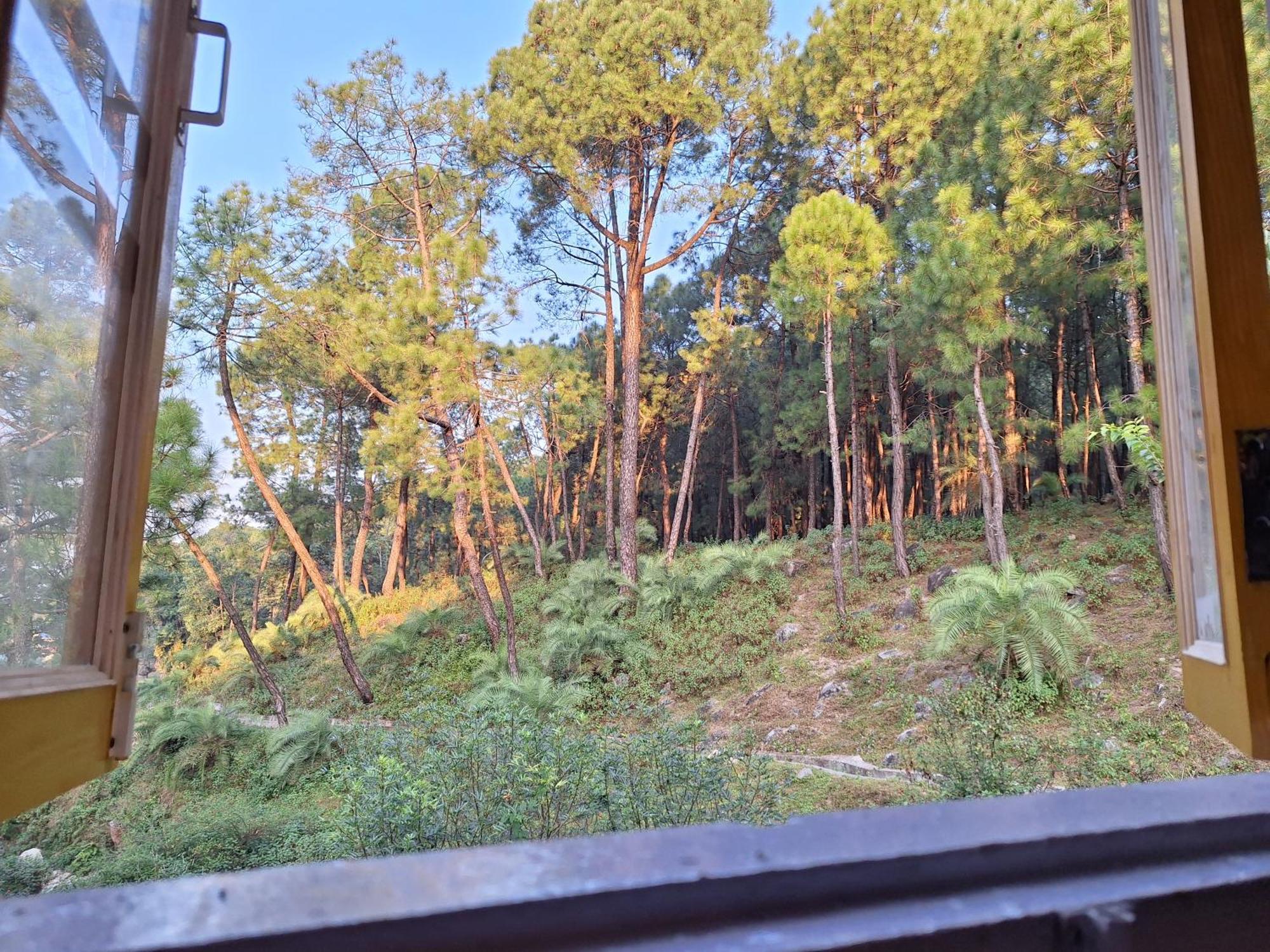 Tathastu Bir -Homestay ,Dorm,Hostel Zewnętrze zdjęcie