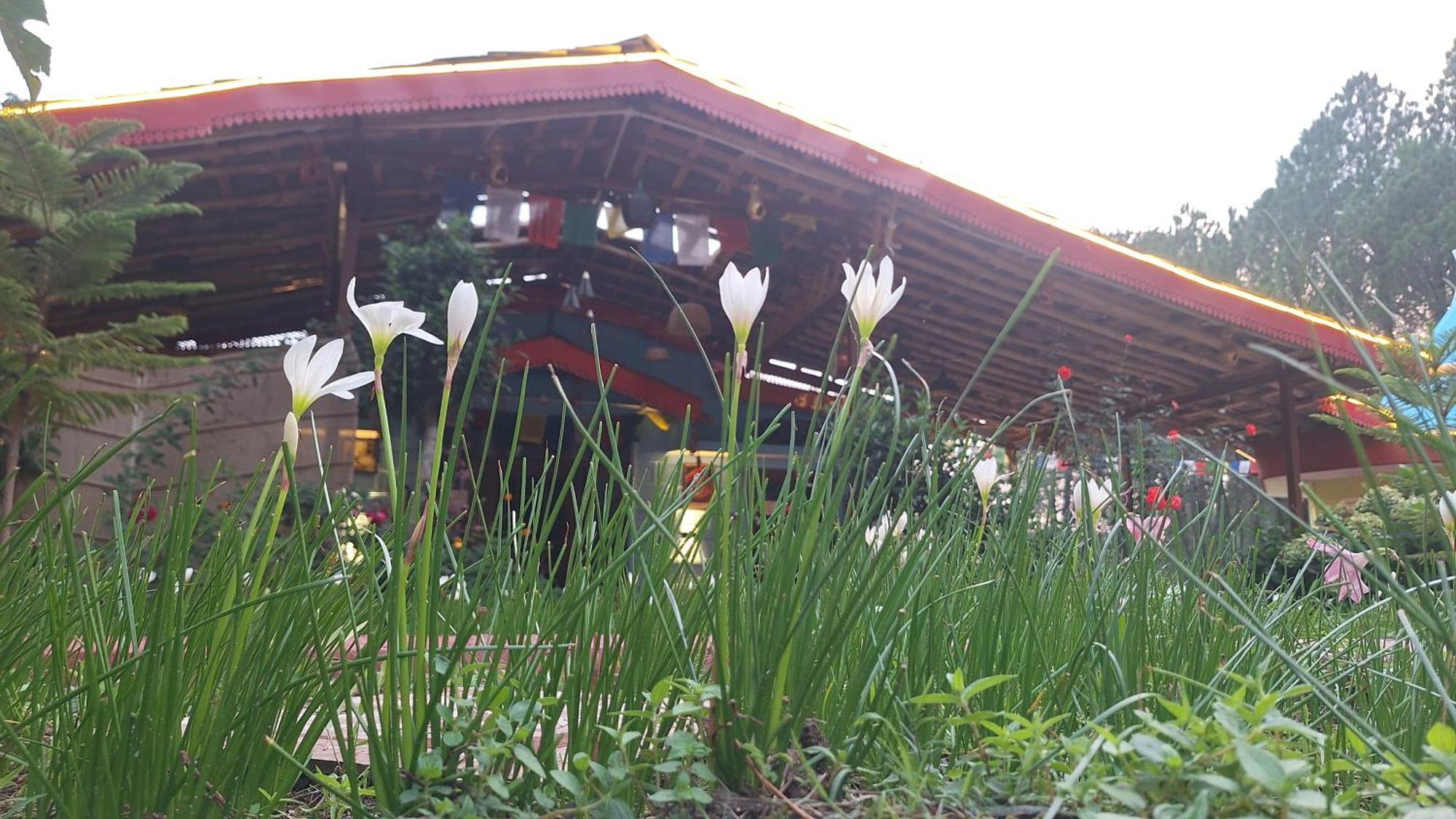 Tathastu Bir -Homestay ,Dorm,Hostel Zewnętrze zdjęcie